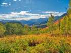 USA-Utah-Logan Pass Colorful autumn in Provo Pass Art Print